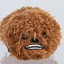 Chewbacca (Star Wars)